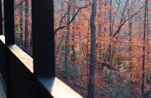 Dahlonega Cabin | Rustic Appalachian cabin, 6+ acres, creek, 5 min from Dahlonega & wineries
