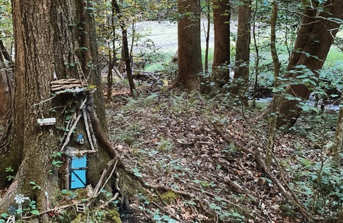 Dahlonega Cabin | Rustic Appalachian cabin, 6+ acres, creek, 5 min from Dahlonega & wineries