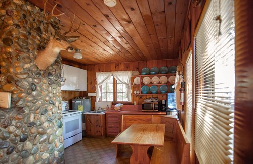 McCall Cabin | Rustic Cabin on the Lake with Boat Slip on Shared Dock