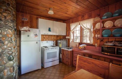 McCall Cabin | Rustic Cabin on the Lake with Boat Slip on Shared Dock