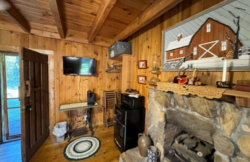 Andrews Cabin | Rustic Cozy Cabin in Andrews, NC