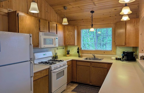 Sayner Cabin | Rustic Fawn | Fireplace, AC, Lake Access w/Dock, Dogs OK w/fee