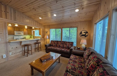 Sayner Cabin | Rustic Fawn | Fireplace, AC, Lake Access w/Dock, Dogs OK w/fee