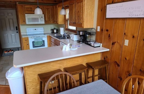 Speedwell Cabin | Rustic Lakefront Cabin with private double-deck dock, slide, hot tub, more!