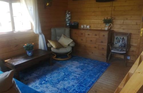 Harmer Hill House | Rustic Log Cabin - Dog Friendly - Sleeps 2 - Views