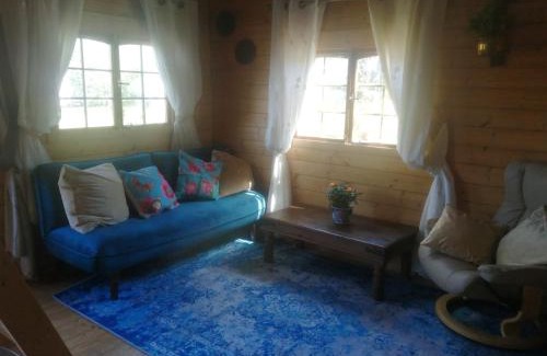 Harmer Hill House | Rustic Log Cabin - Dog Friendly - Sleeps 2 - Views