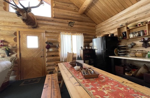 Dubois Cabin | Rustic Log Cabin * Next to National Forest * Near Yellowstone