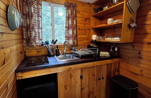 Lake Placid House | Rustic Skylight Adirondack Cabin