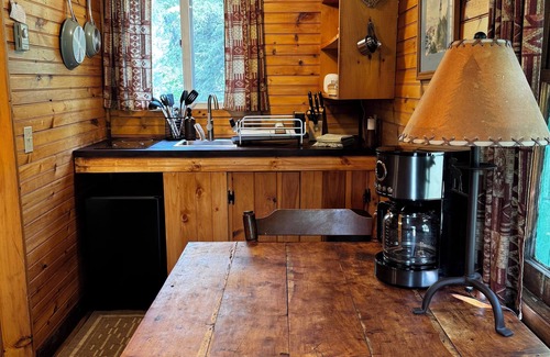 Lake Placid House | Rustic Skylight Adirondack Cabin