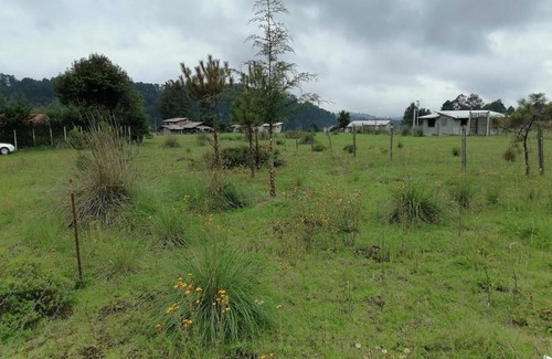 Valle de Bravo House | Rusticabaña los saucos