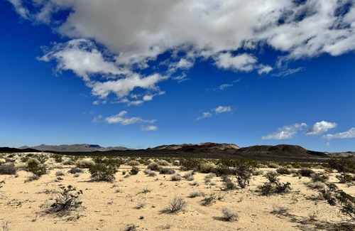 Wonder Valley RV Rental | RV space with fire pit under the stars