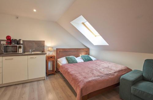 Stare Mesto Apartment | Rybna - Old Town Residence