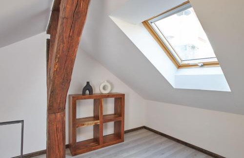 Stare Mesto Apartment | Rybna - Old Town Residence