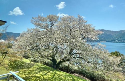 Hakone Hotel | Ryuguden