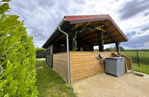 Rilly-sur-Loire Ski Chalet | Séjour bucolique au cœur des Châteaux de la Loire