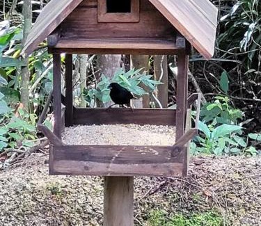 Paulo Lopes House | Sítio Colibri - casa inteligente