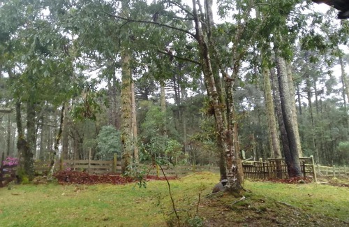 Gramado Other | Sítio lageana