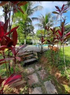 Guapimirim Other | Sítio novo paraíso