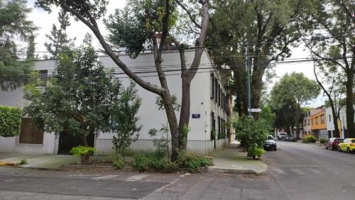 Del Carmen Apartment | SúperAnfitrión Coyoacán