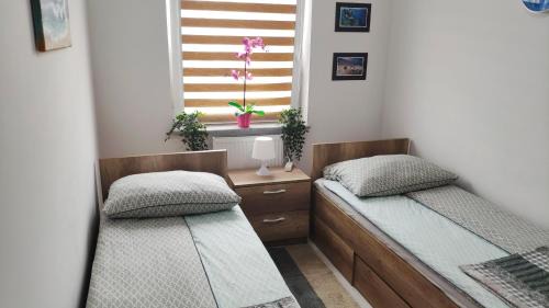 Dziwnowek Apartment | Słoneczne Tarasy