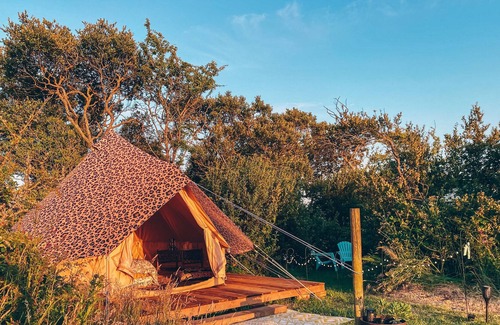 Helston RV Rental | ‘Safari Belle’ @ Trenoon Meadow Glamping (adults only)