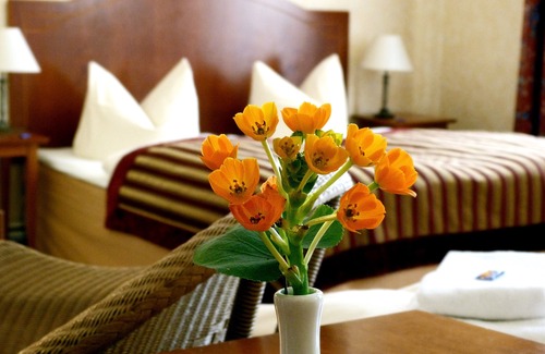 West Berlin Centre Hotel | Safestay Berlin Kurfurstendamm