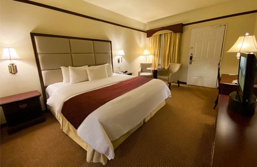 Monterrey Centro Hotel | Safi Royal Luxury Centro