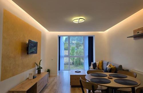 Toplita Apartment | SaGa Apartament