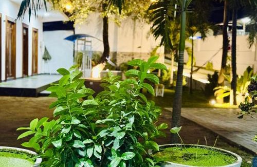Polonnaruwa House | Sahan Tourist House