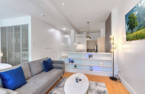 Plateau Mont Royal Apartment | Saint-Denis apartments