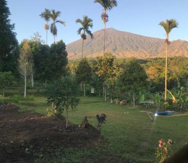 Bayan Other | Sajang Valley Estate