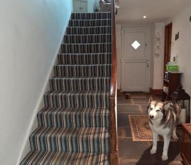 Newland Near Ulverston Bed & Breakfast | Saltcotes Farm