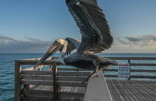 Key Colony Beach House | Salty Breezes Condo 2bed 2bath second floor with e