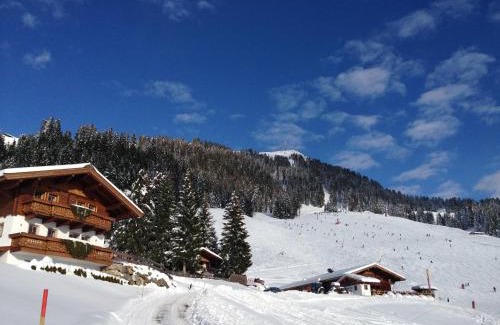 Hopfgarten im Brixental House | Salvenalm