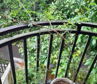 Athurugiriya Apartment | Samanvila