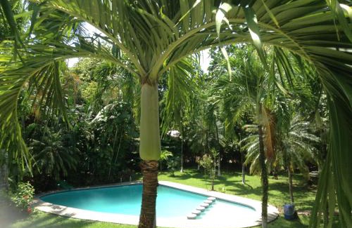 Samara Hotel | Samara Beach Hotel