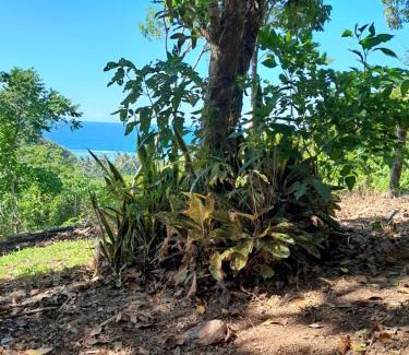 Busuanga House | Sami place