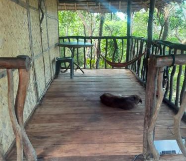 Busuanga House | Sami place