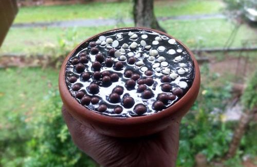 Kalutara South Hotel | sample