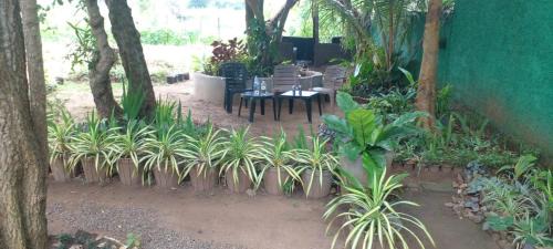 Habarana Hotel | Samudra Resort