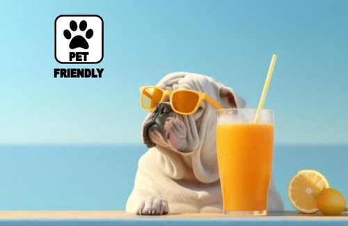 Marina di Zambrone Bed & Breakfast | San Carlo - Terrazzo sul Mare con Ristorante e Pizzeria