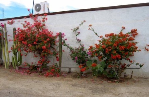 Primera Seccion Apartment | San Felipe Rental Studio #1 FREE WIFI AND CABLE TV
