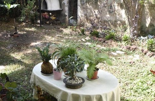 Catedral House | San José Sanarte Room