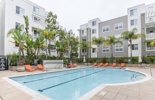 Central San Mateo Apartment | San Mateo 1BR Gem in a Great Location