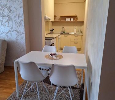 Cacak Apartment | SAN