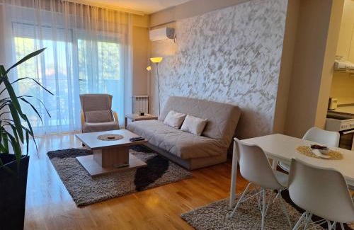 Cacak Apartment | SAN