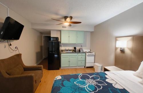 Morehead City Hotel | Sand Dollar Motel