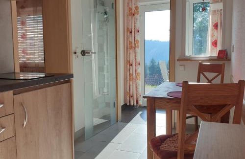 Bad Rippoldsau-Schapbach Apartment | Sandras Bergstation