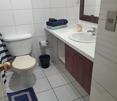 Bellas Artes Apartment | Santiago Centro Apart