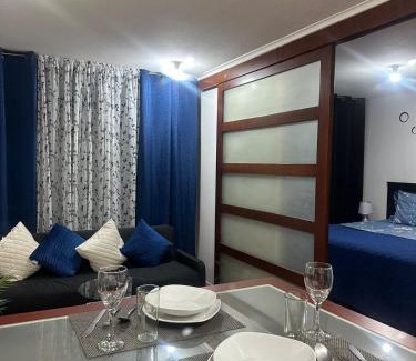 Bellas Artes Apartment | Santiago Centro Apart